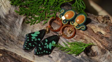 DSC_9176 Lola Longwing liggend 96dpi